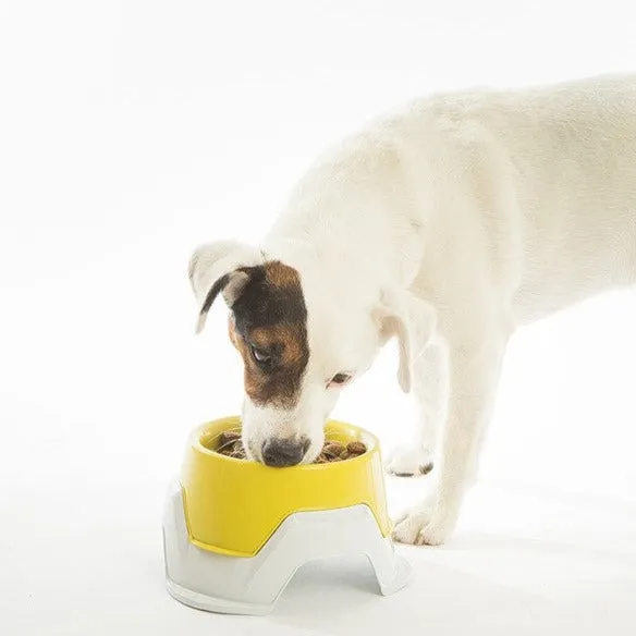 Bama Multi-Function Pet Bowl 19 x 19 x 10 cm