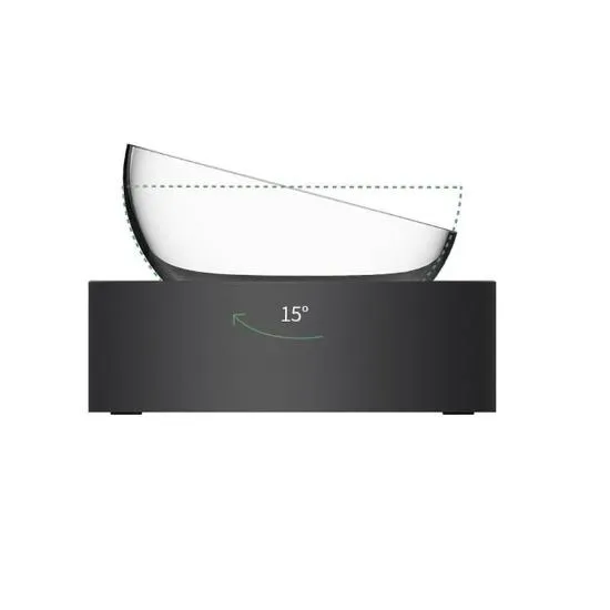 Petkit Stainless Steel Tilted Diner