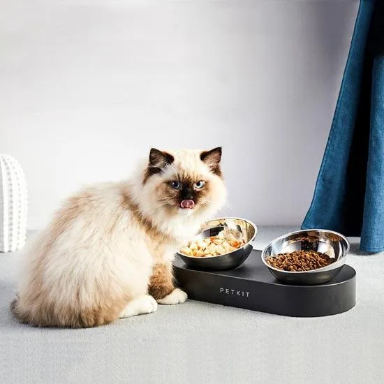 Petkit Stainless Steel Tilted Diner